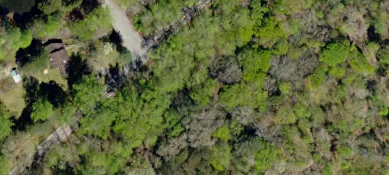 Wooded Land Parcels