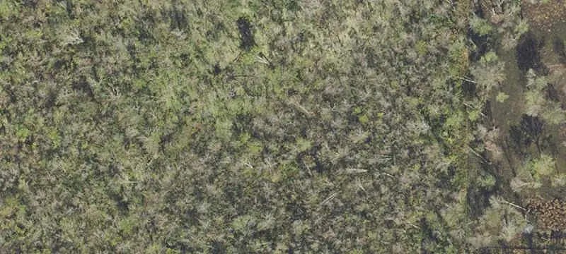 Rural Land Parcel