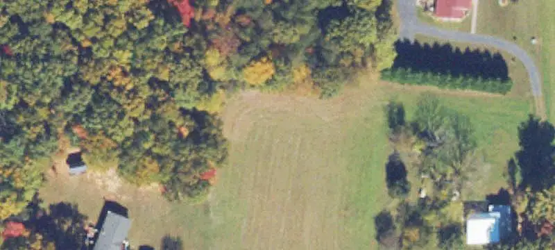 Agricultural Land with Creek
