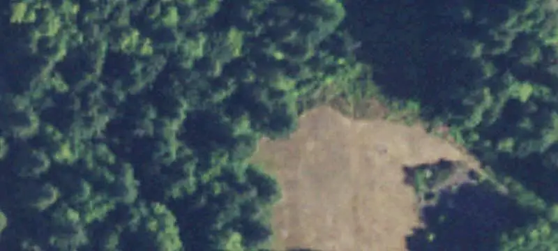 Wooded Wetland Acreage with Outbuilding