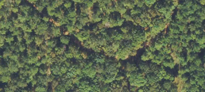 Hunting Land with Residence