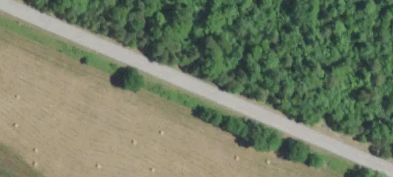 Timber Hunting Land