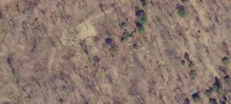 Mountain Hunting Land