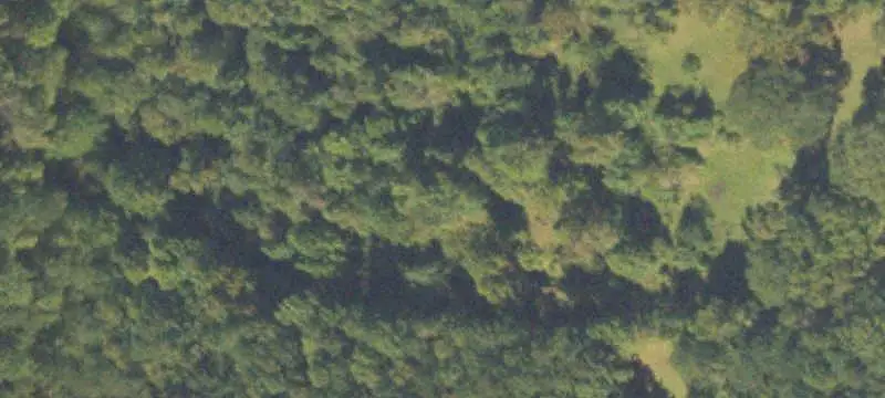 Vacant Land