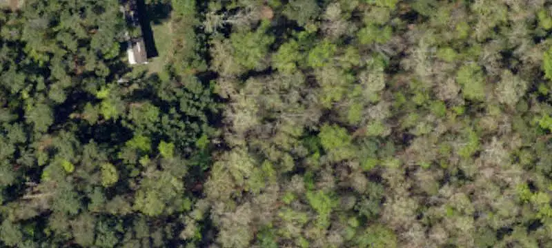 Wooded Land with Trails