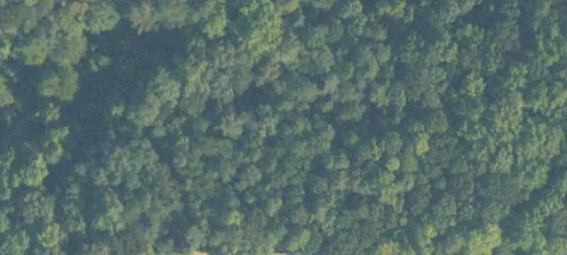 Unimproved Land