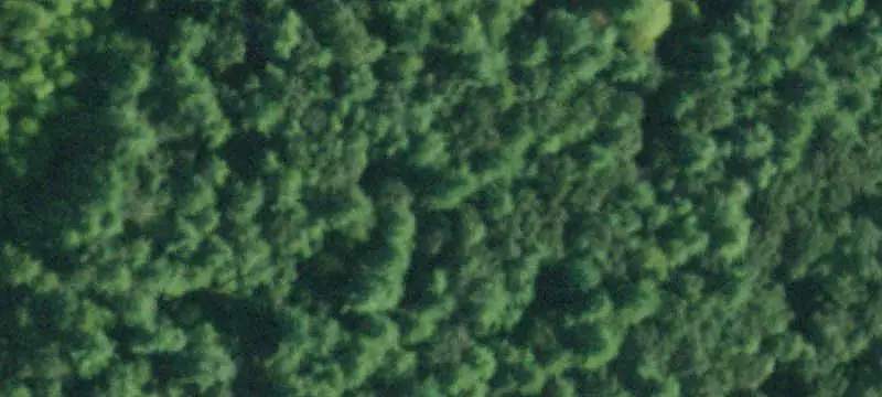 Wooded Recreational Land with Storage Building