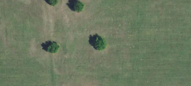 Timbered Hunting Land