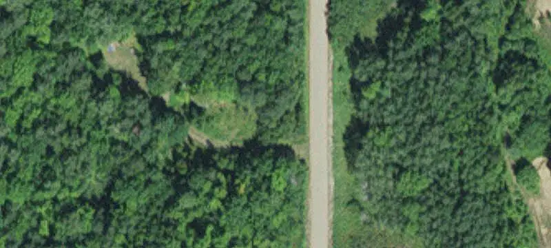 Wooded Land