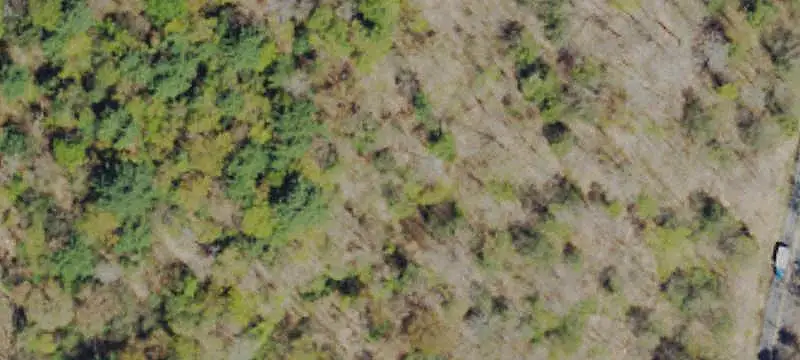 Waterfront Land with Lake Rights