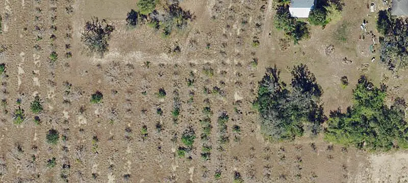 Open Agricultural Land