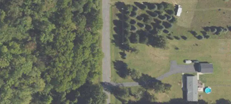 Wooded Hunting Land with Creek
