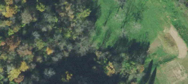 Land