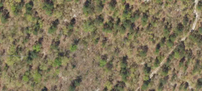 Unimproved Land