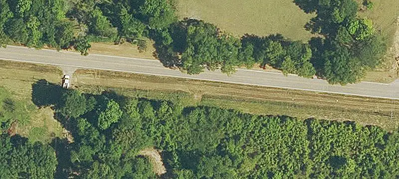 Partially Cleared Land