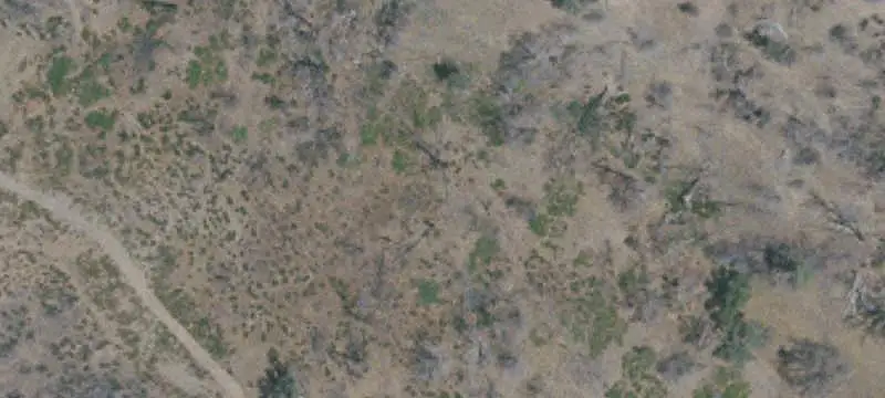 Land/Lot