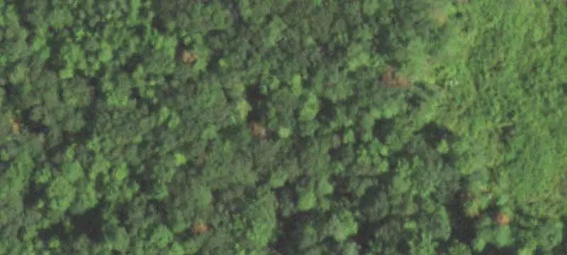 Commercial Land