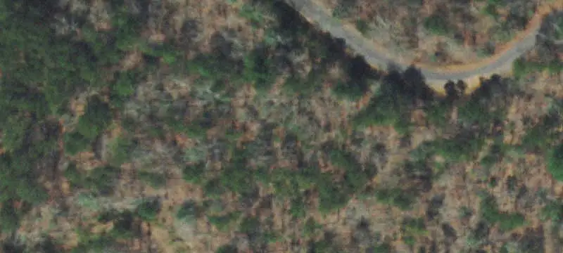 Land