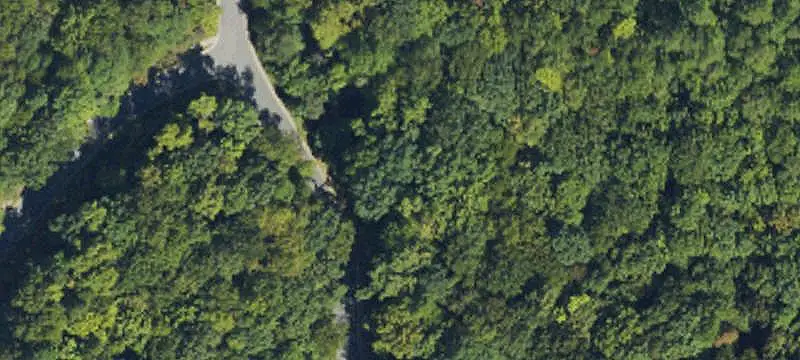 Land or Vacant Lot