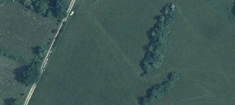 Farmland with Wooded Acreage
