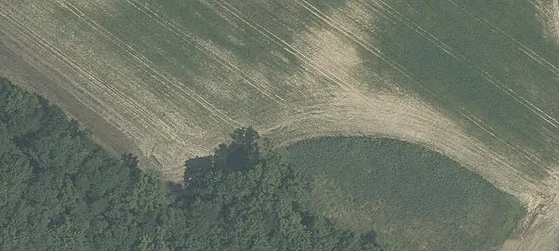 Agricultural Land