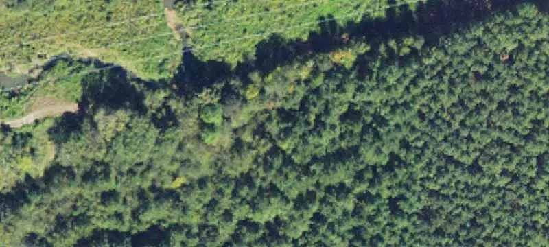 Hunting Land with Cabin