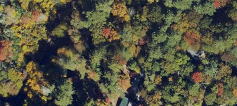 Land/Lot