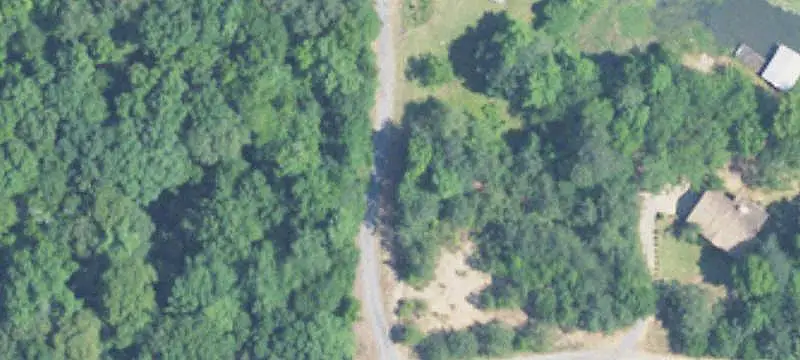 Wooded Land