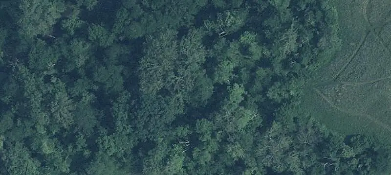 Farmland with Tillable and Wooded Acreage