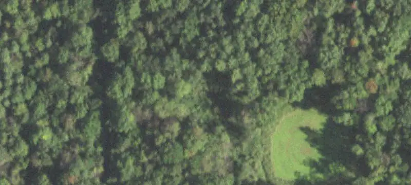 Wooded Hunting Land with Log Cabin