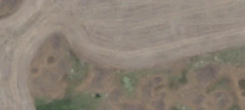 Fenced Agricultural Land