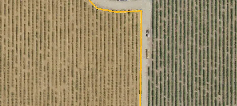 Zinfandel Vineyard