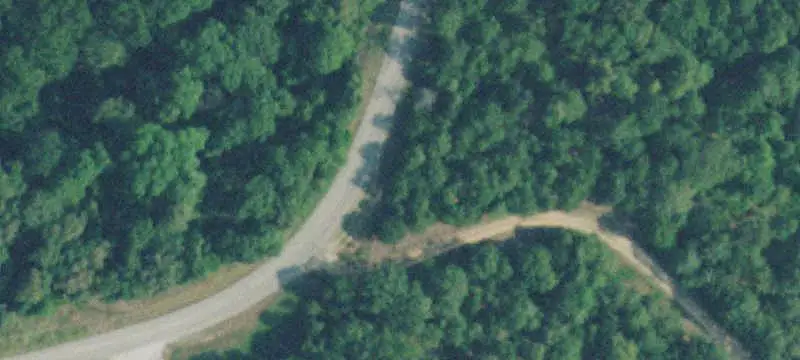 Wooded Recreational Land