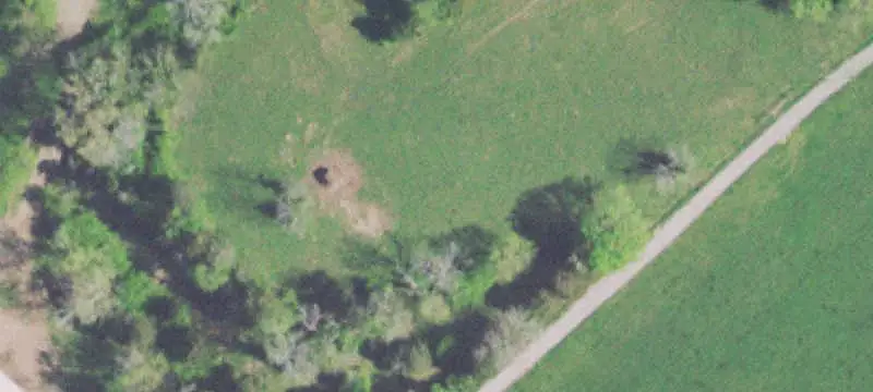 Fenced Agricultural Land