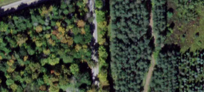 Wooded Land with Pole Barn