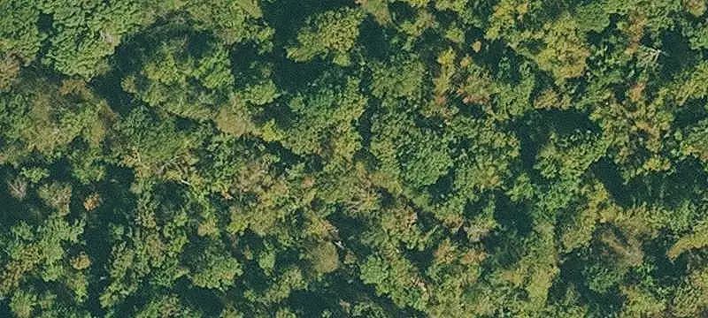 Agricultural Land