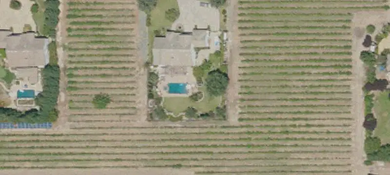 Vineyard with Almond Orchard