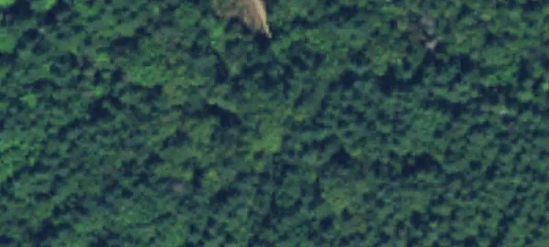 Land/Lot