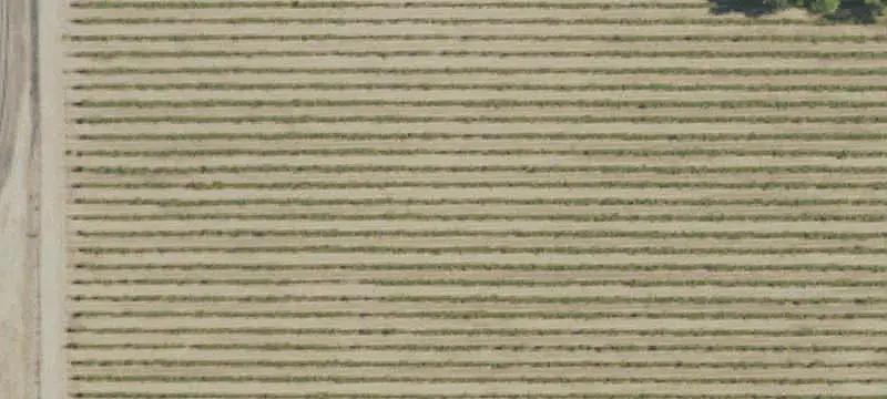 Agricultural Land with Nectarine Orchard