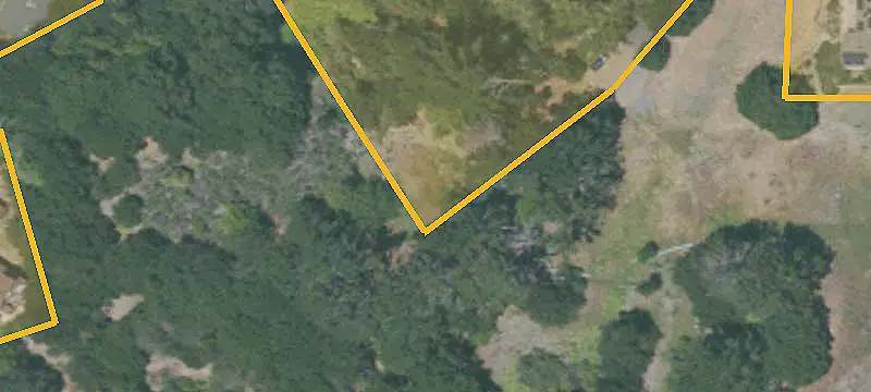 Land or Vacant Lot
