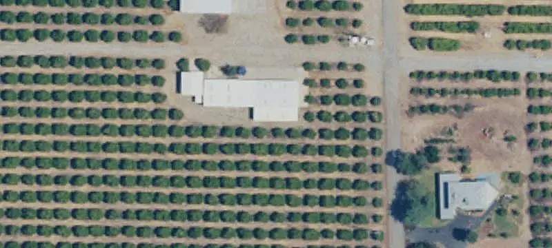 Citrus Farm