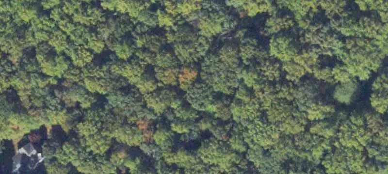 Unimproved Land
