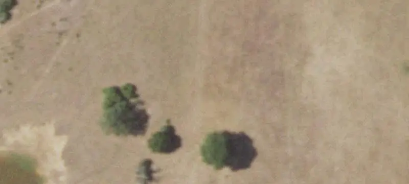 40-Acre Agricultural Land