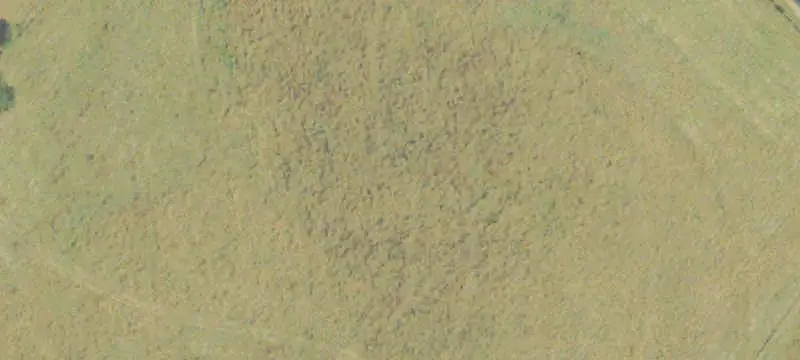 Farm with Poultry Facilities