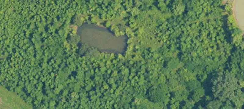 Wooded Land with Ponds