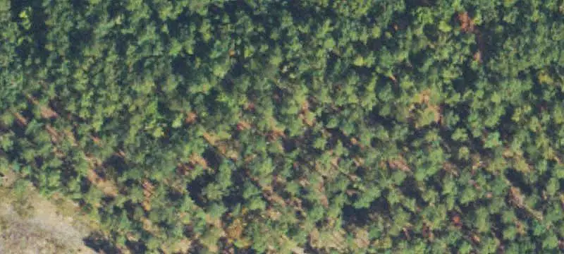 Land/Lot