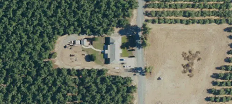 Chandler Walnut Orchard