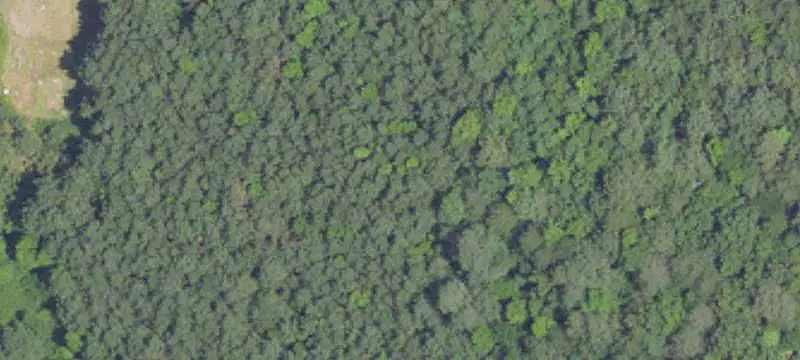 Commercial Land