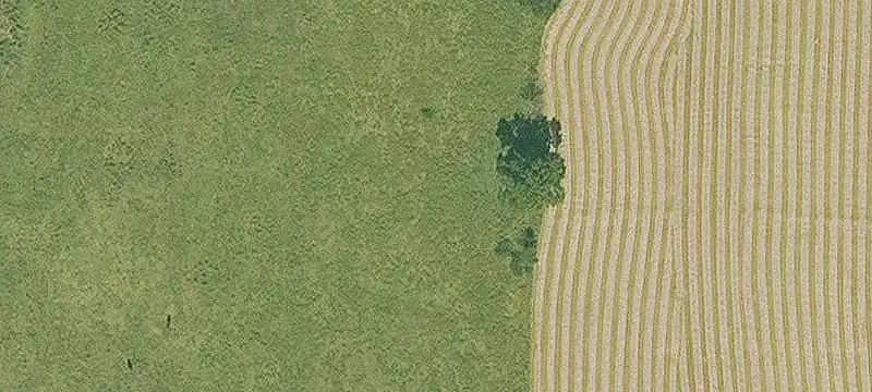 Land