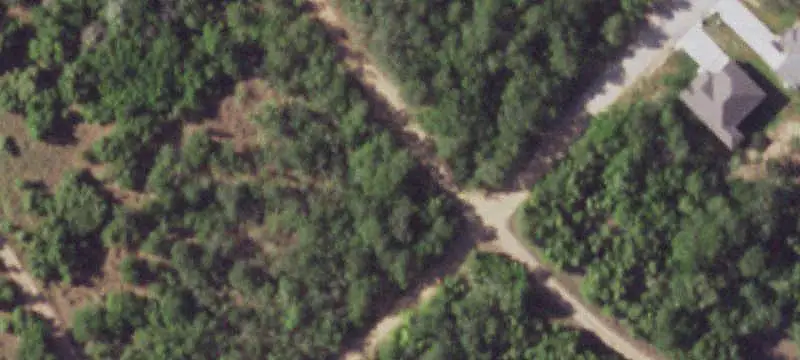 Tree-Covered Land